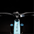 Universal Bike Mount